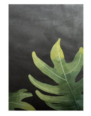 Philodendron-radiatum-leaf-welcome-board