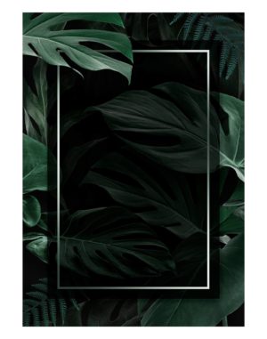 Rectangle-frame-with-green-monstera-leave