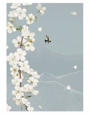 White-azalea-blossom-flower