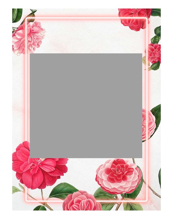 Red-and-pink-camellia-flower-selfie-frame